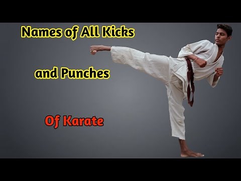 Learning Names Of All Kicks and Punches Of Karate.