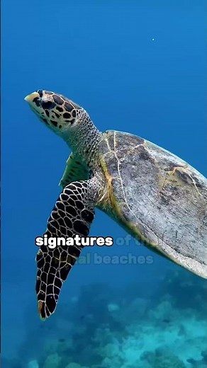 8 Fascinating Facts About Animals You’ve Never Heard Before! #AnimalFacts #Wildlife #facts #nature