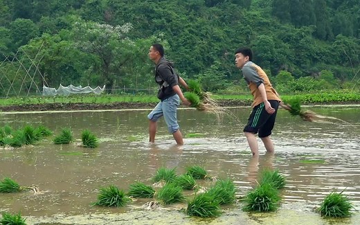 手把青秧插满田，低头便见水中天。