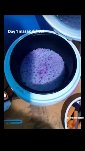 Random Memes That Will Make You Laugh