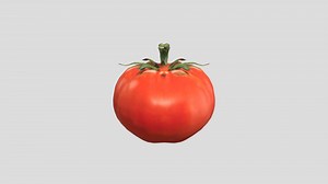 Tomato - Download Free 3D model by EmpStackStudios (@empstack1881)