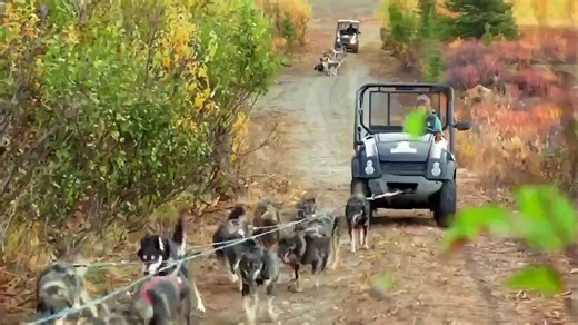 Building Alaska - Se11 - Ep01 - My Life Is in Your Hands HD Watch