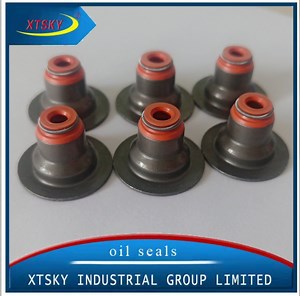 [Hot Item] Manufacturer Rubber Valve Stem Oil Seals (12022800)