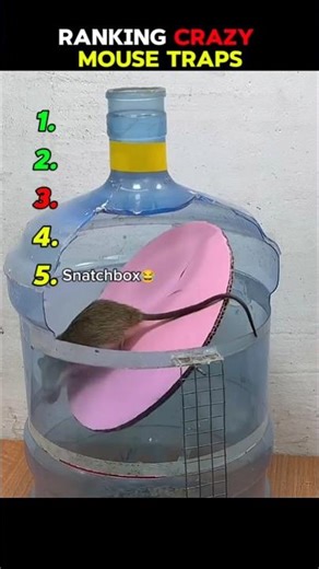 Crazy Mouse Traps 🤣💀