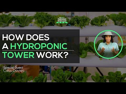 HOW DOES A HYDROPONIC TOWER WORK? | Step-By-Step
