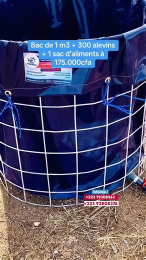 Comment améliorer la croissance de vos alevins ?