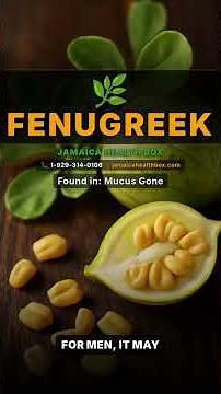 Fenugreek: Natural Health Benefits You Need to Know | Jamaica Health Box