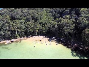 23 Best Things To Do In Palm Beach Sydney 2025 Guide