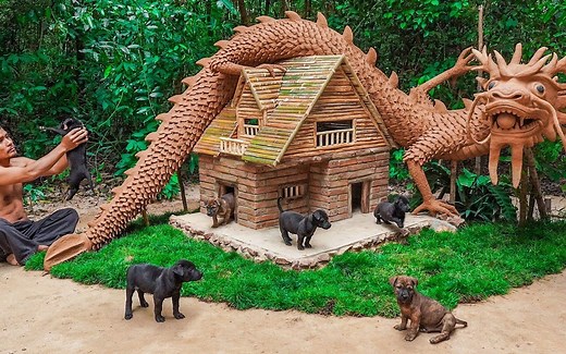 拯救被遗弃的小狗并为它们建造了气派神龙房！