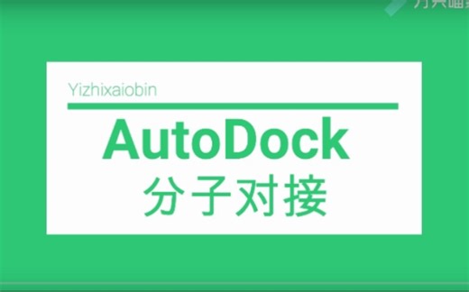 Autodock分子对接DS结果分析，入门级