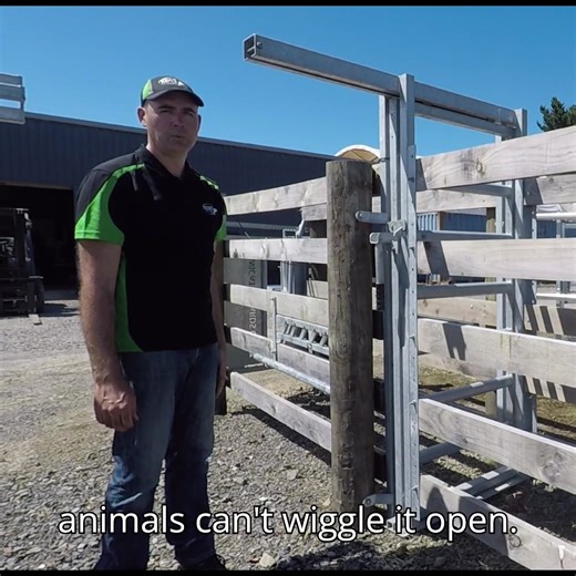 Check out our sliding gate with an automatic lock! #cattleyards #nzmade #kiwiingenuity | Kiwi Cattle Yards