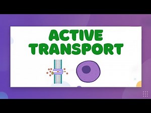 Active Transport Across Cell Membrane — LearnStalk Biology