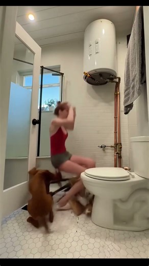 Cat and Dog Join Water Heater Repair