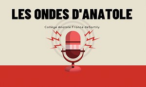 4C Les data centers polluent-ils ?