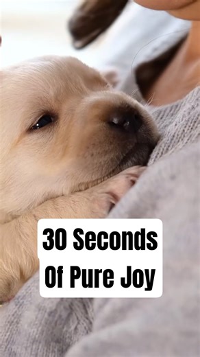 30 Seconds of Positive Affirmations to Fill Your Life with Joy!