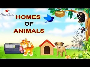 Animal Home Names for Kids in English || Homes of Animals and Birds | Animal and Their Home Names