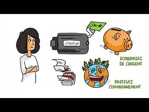 eFlexFuel E85 Ethanol Kit - un kit de conversion en bioéthanol E85 déstiné aux moteurs à essence