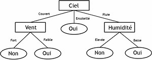 Tout savoir sur les arbres de décision - AI for you