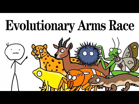 Sets Of Species Fighting An Evolutionary Arms Race！Animal Facts