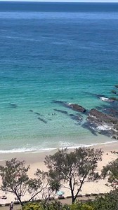 161K views · 4.1K reactions | The Southern End. ️ You’ve probably...