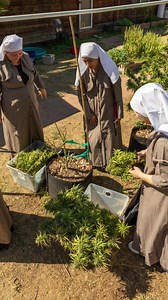Your hemp-harvesting sisters. | Sisters of the Valley