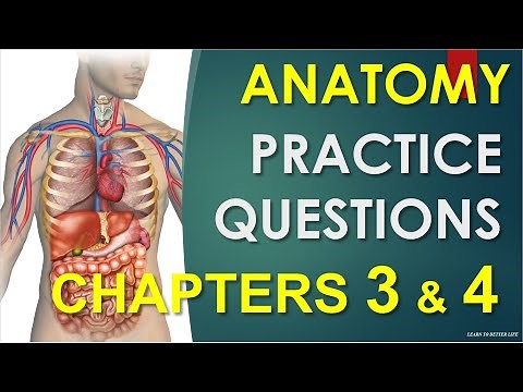 Chapters 3 &4 Anatomy/Physiology practice questions