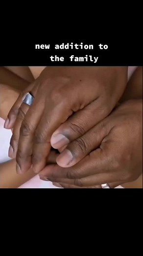 Exciting Journey as a Family of Six!