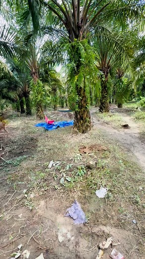 Happy weekend☺️ | Tiara Flowers