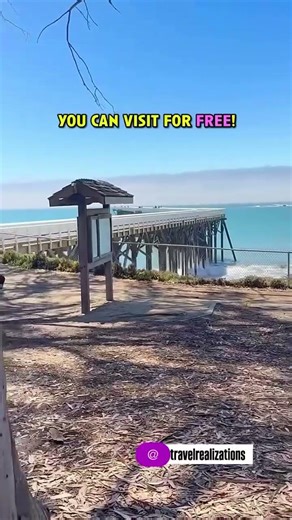 Whale watching… from a pier