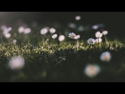 Naming of Parts by Henry Reed (1914-1986) - read by Ben W Smith