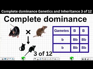 Complete dominance Genetics and Inheritance Grade 12 Life Sciences 3 of 12
