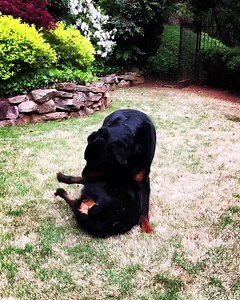 Backyard Boogie 💪🏽 | Big Boi