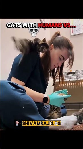 Cats with humans vs Last one 💀