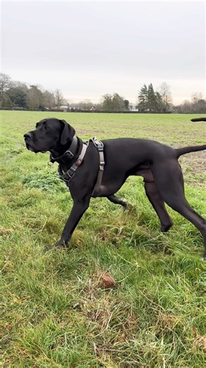 How to do the running man - tutorial #reggae #hiphop