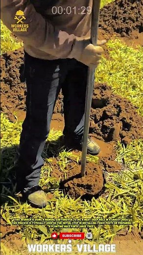 Tutorial on Using a Post Hole Digger #construction #handtools