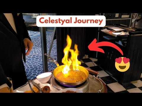 FLAMBE, yes, actual FIRE!!! – Ship Maneuvers, Excursion Prep, Grill Seekers Review 🚢🐪