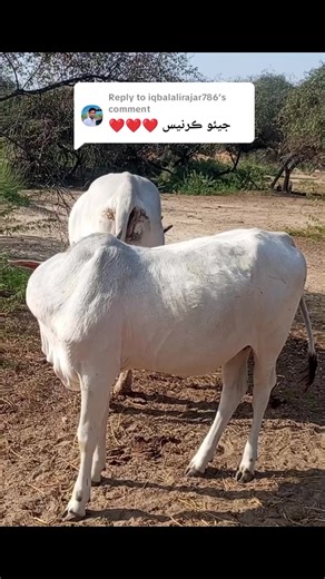 Understanding PPP: Your Guide to Public-Private Partnerships