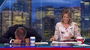 Scott and Amber get the giggles when Jordan Witzel talks ‘swinging’