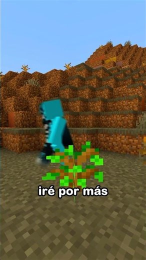 Salvando un bioma de Minecraft 🌳