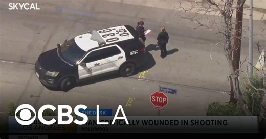 Police investigate a shooting in Hollywood