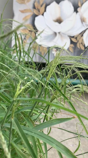 649 reactions · 45 shares | Texture painting basic course for...