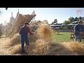 Harvesting Wheat at Firestone Farm