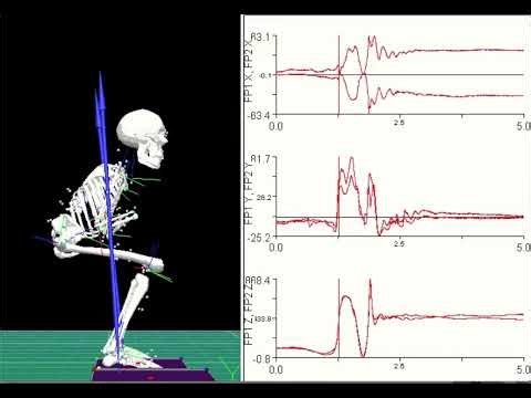 STS Phases using 3D motion Analysis