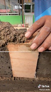 Short Skills on TikTok