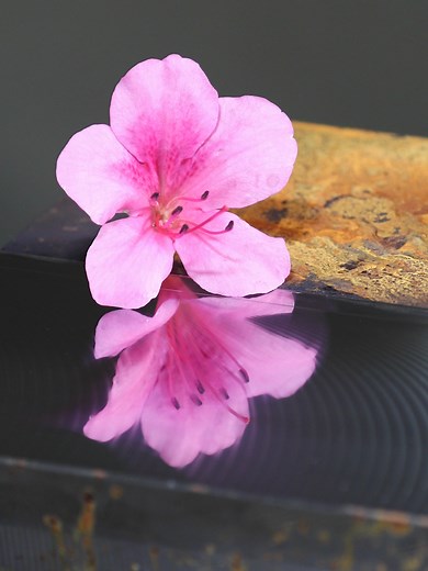 Rusty workpieces are so clean! Super-finishing process! #fyp #cnc #machine #enginnering #tools #technology