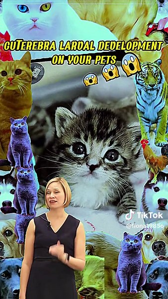 #veterinarian #parasite #larva #dog #cat #foryoupage #foryou #viral