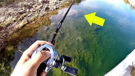 Spring bass caught in crystal-clear pond waters