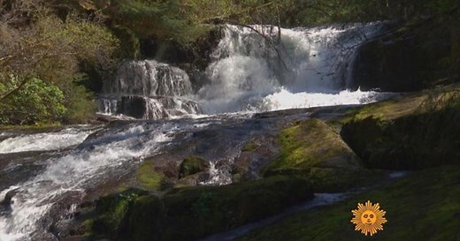 Nature: Oregon's Cascade Mountains