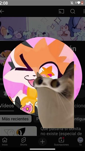 gato 😺 ‪@donitaanimaciones7777‬ #fnf #yosoydelos7mil #humor #cute #dúo