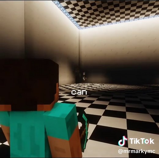 Minecraft: Never Mining Diamonds Again!